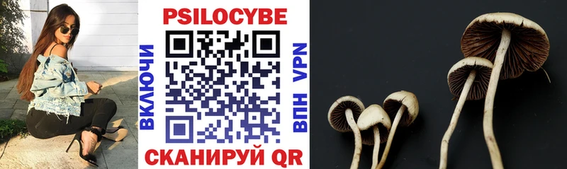 hydra как зайти  Дыгулыбгей  Псилоцибиновые грибы Psilocybe 